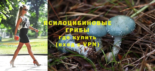 индика Няндома