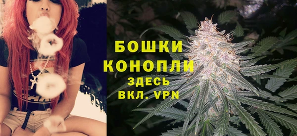 дмт Пестово