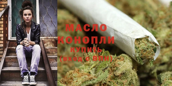 дмт Пестово