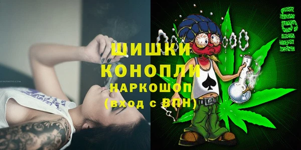 гидра Кинешма