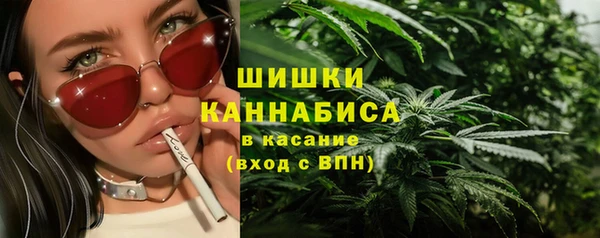 дмт Переславль-Залесский