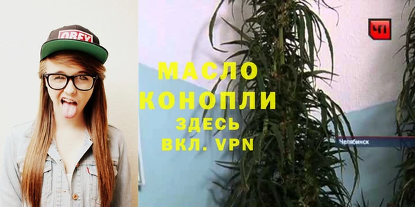 дмт Переславль-Залесский