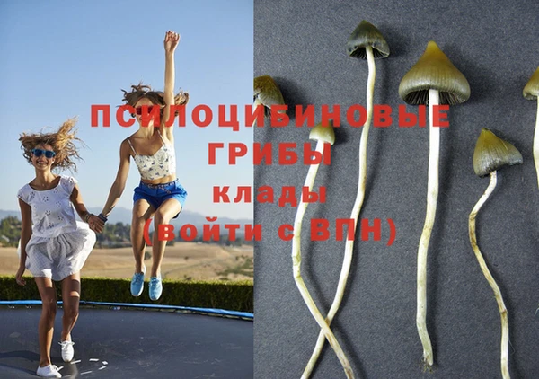 не бодяженный Пересвет