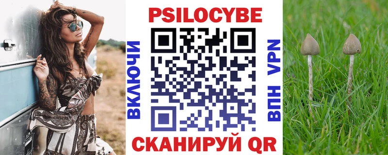 продажа наркотиков  Красноперекопск  Псилоцибиновые грибы ЛСД 